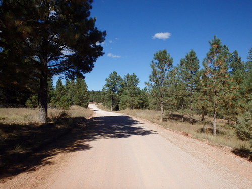GDMBR: Heading north on NF-50 (Cibola National Forest, NM).